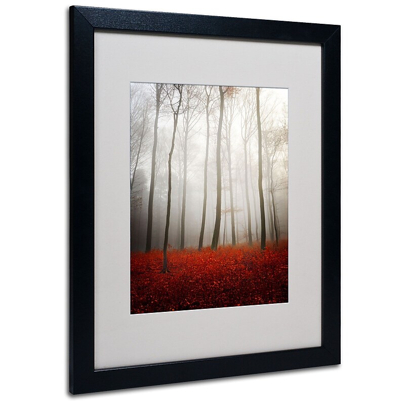 Trademark Philippe Sainte-Laudy "Leafless" Art, White Matte With Black Frame, 16" x 20" image 1