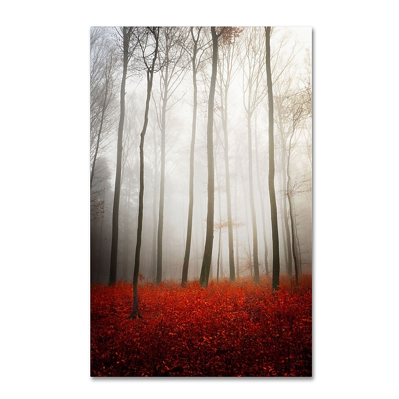 Trademark Philippe Sainte-Laudy "Leafless" Gallery-Wrapped Canvas Art, 16" x 24" image 1