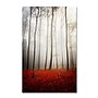 Trademark Philippe Sainte-Laudy "Leafless" Gallery-Wrapped Canvas Art, 12" x 19"~#|#~m001703773_sc7