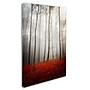 Trademark Philippe Sainte-Laudy "Leafless" Gallery-Wrapped Canvas Art, 12" x 19"~#|#~m001703774_sc7