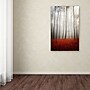 Trademark Philippe Sainte-Laudy "Leafless" Gallery-Wrapped Canvas Art, 12" x 19"~#|#~m001703775_sc7