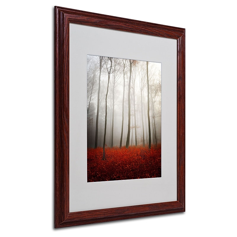 Trademark Philippe Sainte-Laudy "Leafless" Art, White Matte With Wood Frame, 16" x 20" image 1