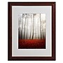 Trademark Philippe Sainte-Laudy "Leafless" Art, White Matte With Wood Frame, 16" x 20"~#|#~m001703780_sc7