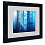 Trademark Philippe Sainte-Laudy "Light Box Blues" Art, White Matte With Black Frame, 11" x 14"~#|#~m001703781_sc7