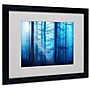Trademark Philippe Sainte-Laudy "Light Box Blues" Art, White Matte With Black Frame, 16" x 20"~#|#~m001703784_sc7