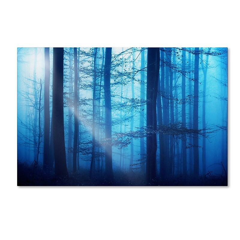 Trademark Philippe Sainte-Laudy "Light Box Blues" Gallery-Wrapped Canvas Art, 22" x 32" image 1