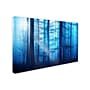 Trademark Philippe Sainte-Laudy "Light Box Blues" Gallery-Wrapped Canvas Art, 12" x 19"~#|#~m001703787_sc7