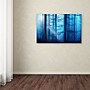 Trademark Philippe Sainte-Laudy "Light Box Blues" Gallery-Wrapped Canvas Art, 12" x 19"~#|#~m001703788_sc7