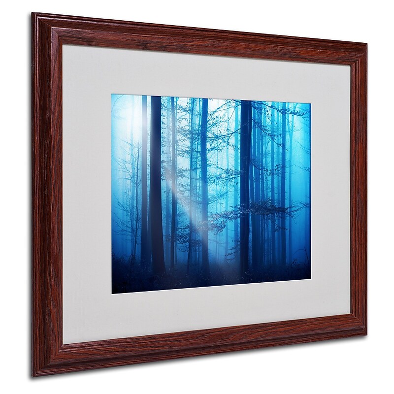 Trademark Philippe Sainte-Laudy "Light Box Blues" Art, White Matte With Wood Frame, 16" x 20" image 1