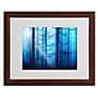 Trademark Philippe Sainte-Laudy "Light Box Blues" Art, White Matte With Wood Frame, 16" x 20"~#|#~m001703793_sc7