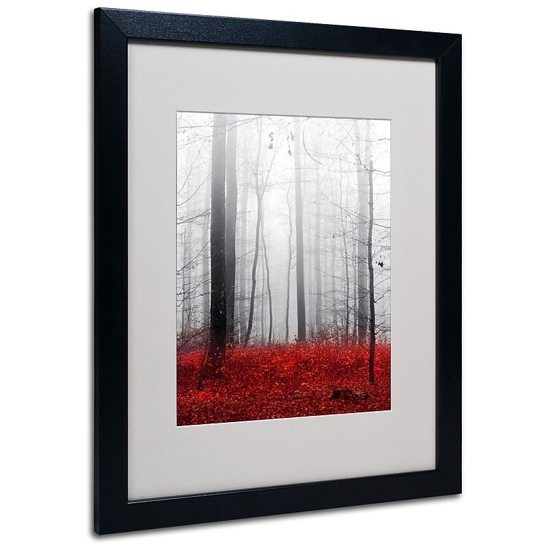 Trademark Philippe Sainte-Laudy "Little Red Carpet" Art, White Matte With Black Frame, 16" x 20" image 1