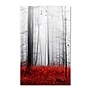 Trademark Philippe Sainte-Laudy "Little Red Carpet" Gallery-Wrapped Canvas Art, 22" x 32"~#|#~m001703799_sc7