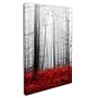 Trademark Philippe Sainte-Laudy "Little Red Carpet" Gallery-Wrapped Canvas Art, 22" x 32"~#|#~m001703800_sc7
