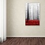 Trademark Philippe Sainte-Laudy "Little Red Carpet" Gallery-Wrapped Canvas Art, 22" x 32"~#|#~m001703801_sc7