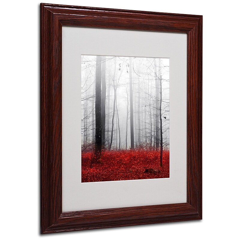 Trademark Philippe Sainte-Laudy "Little Red Carpet" Art, White Matte With Wood Frame, 11" x 14" image 1
