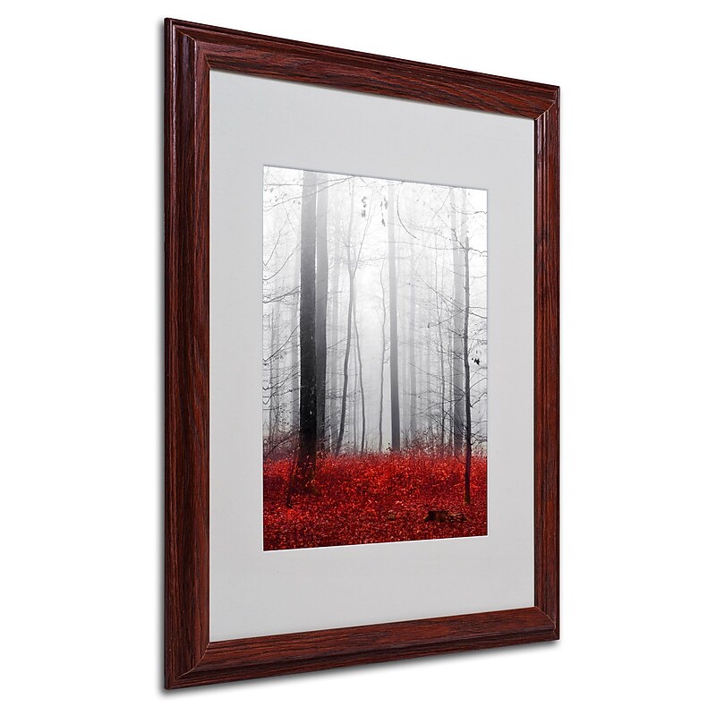 Trademark Philippe Sainte-Laudy "Little Red Carpet" Art, White Matte With Wood Frame, 16" x 20" image 1