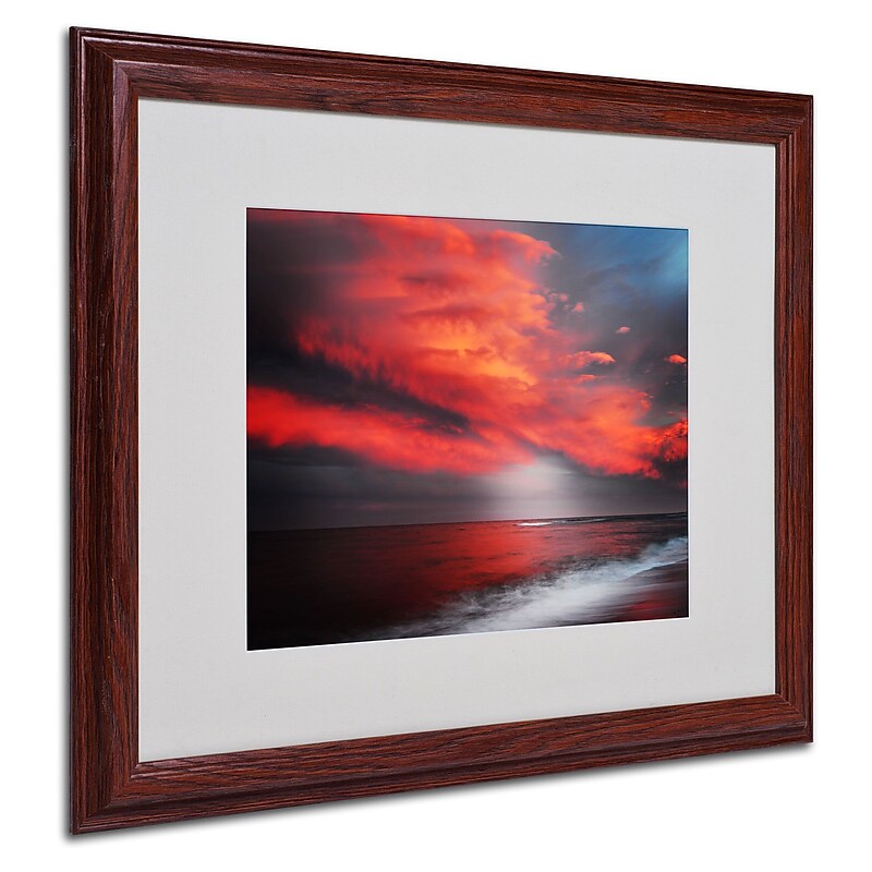 Trademark Philippe Sainte-Laudy "The Great Gig" Art, White Matte With Wood Frame, 16" x 20" image 1