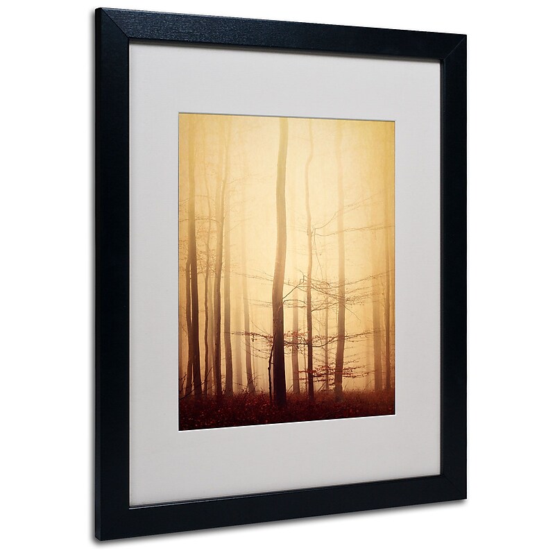 Trademark Philippe Sainte-Laudy "Twisted Line" Art, White Matte With Black Frame, 16" x 20" image 1