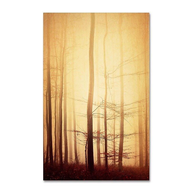 Trademark Philippe Sainte-Laudy "Twisted Line" Gallery-Wrapped Canvas Art, 30" x 47" image 1