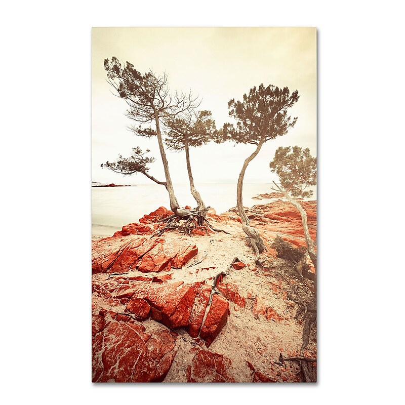 Trademark Philippe Sainte-Laudy "Union" Gallery-Wrapped Canvas Art, 22" x 32" image 1