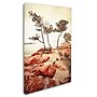 Trademark Philippe Sainte-Laudy "Union" Gallery-Wrapped Canvas Art, 22" x 32"~#|#~m001703891_sc7