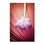 Trademark Philippe Sainte-Laudy "Access to Desires" Gallery-Wrapped Canvas Art, 16" x 24"~#|#~m001703903_sc7