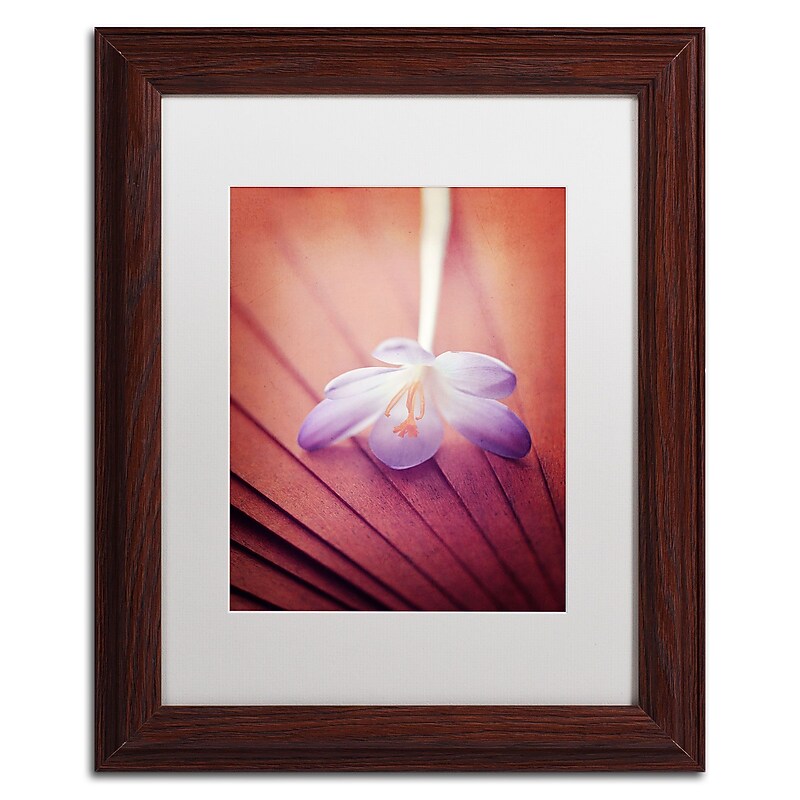 Trademark Philippe Sainte-Laudy "Access to Desires" Art, White Matte With Wood Frame, 11" x 14" image 1