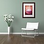 Trademark Philippe Sainte-Laudy "Access to Desires" Art, White Matte With Wood Frame, 11" x 14"~#|#~m001703908_sc7