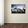 Trademark Philippe Sainte-Laudy "And Then.." Gallery-Wrapped Canvas Art, 12" x 19"~#|#~m001703918_sc7