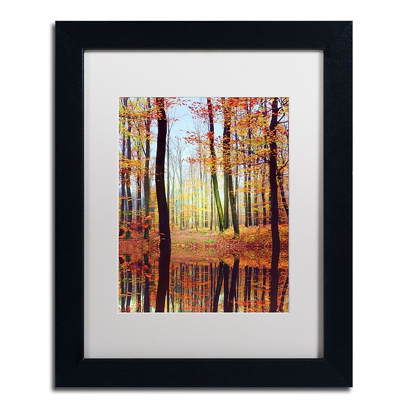 Trademark Philippe Sainte-Laudy "Fall Mirror" Art, White Matte With Black Frame, 11" x 14" image 1