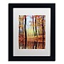 Trademark Philippe Sainte-Laudy "Fall Mirror" Art, White Matte With Black Frame, 11" x 14"~#|#~m001703919_sc7