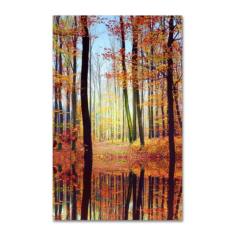 Trademark Philippe Sainte-Laudy "Fall Mirror" Gallery-Wrapped Canvas Art, 16" x 24" image 1