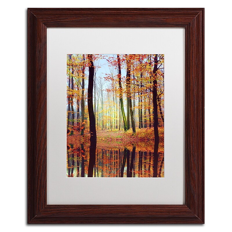 Trademark Philippe Sainte-Laudy "Fall Mirror" Art, White Matte With Wood Frame, 11" x 14" image 1