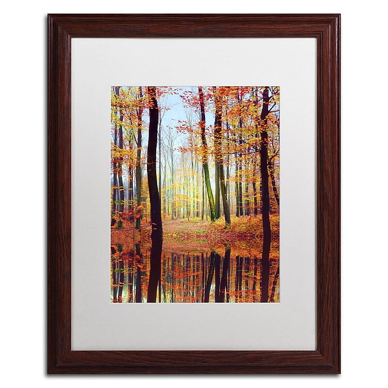 Trademark Philippe Sainte-Laudy "Fall Mirror" Art, White Matte With Wood Frame, 16" x 20" image 1