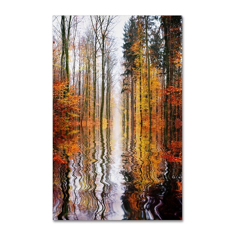Trademark Philippe Sainte-Laudy "Higher Ground" Gallery-Wrapped Canvas Art, 30" x 47" image 1