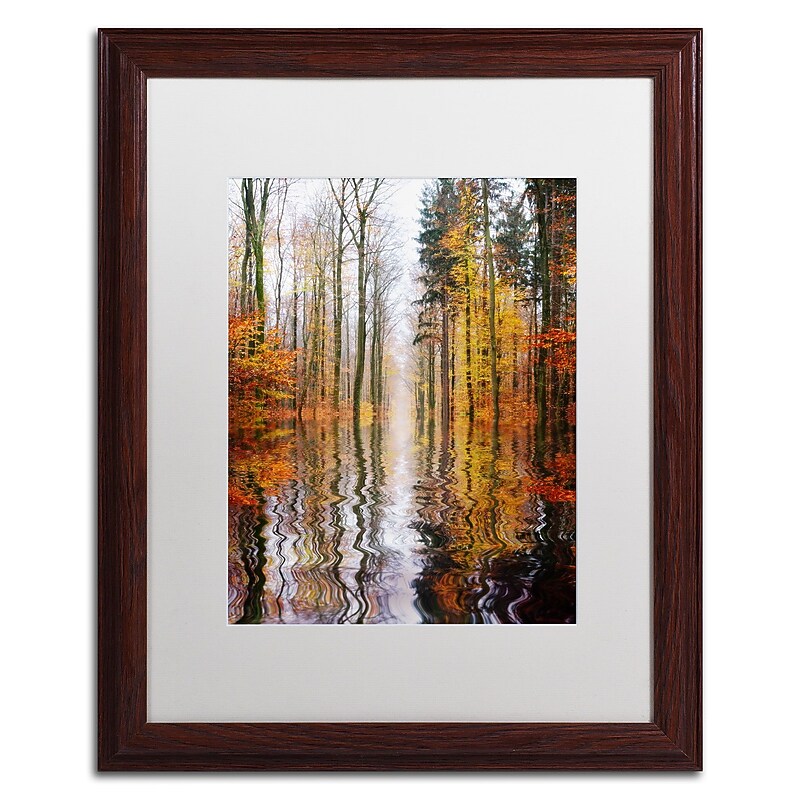 Trademark Philippe Sainte-Laudy "Higher Ground" Art, White Matte With Wood Frame, 16" x 20" image 1