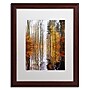 Trademark Philippe Sainte-Laudy "Higher Ground" Art, White Matte With Wood Frame, 16" x 20"~#|#~m001703943_sc7