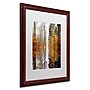 Trademark Philippe Sainte-Laudy "Higher Ground" Art, White Matte With Wood Frame, 16" x 20"~#|#~m001703944_sc7