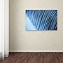 Trademark Philippe Sainte-Laudy "Liquid State" Gallery-Wrapped Canvas Art, 30" x 47"~#|#~m001703965_sc7