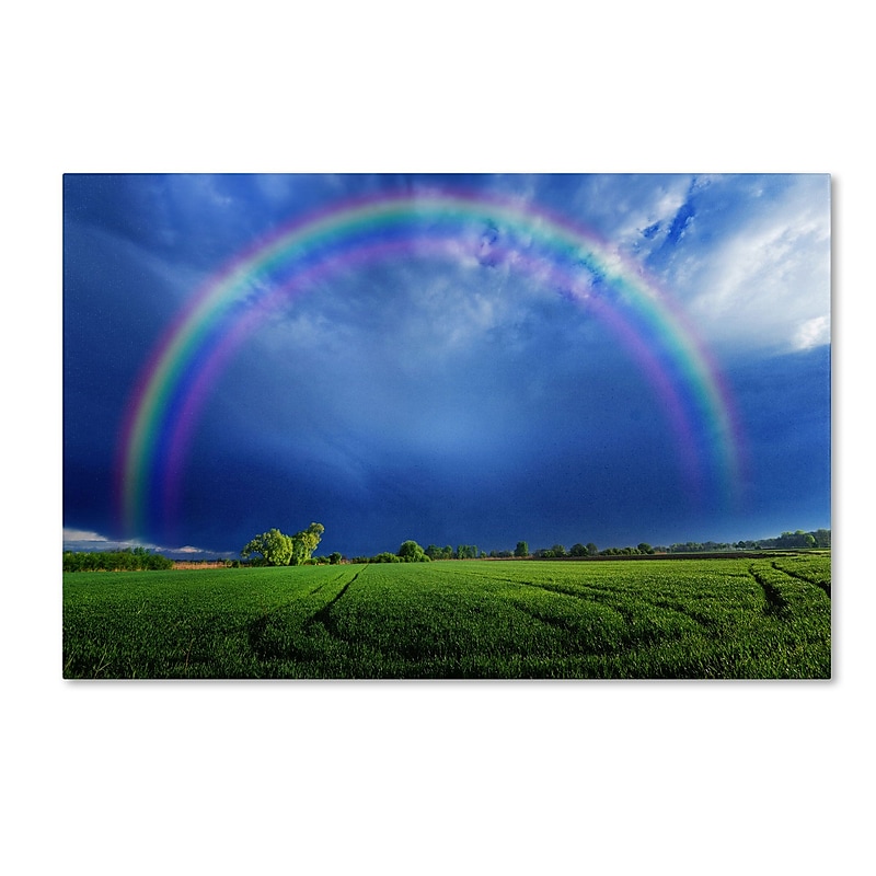 Trademark Philippe Sainte-Laudy "Lucky Rainbow" Gallery-Wrapped Canvas Art, 12" x 19" image 1