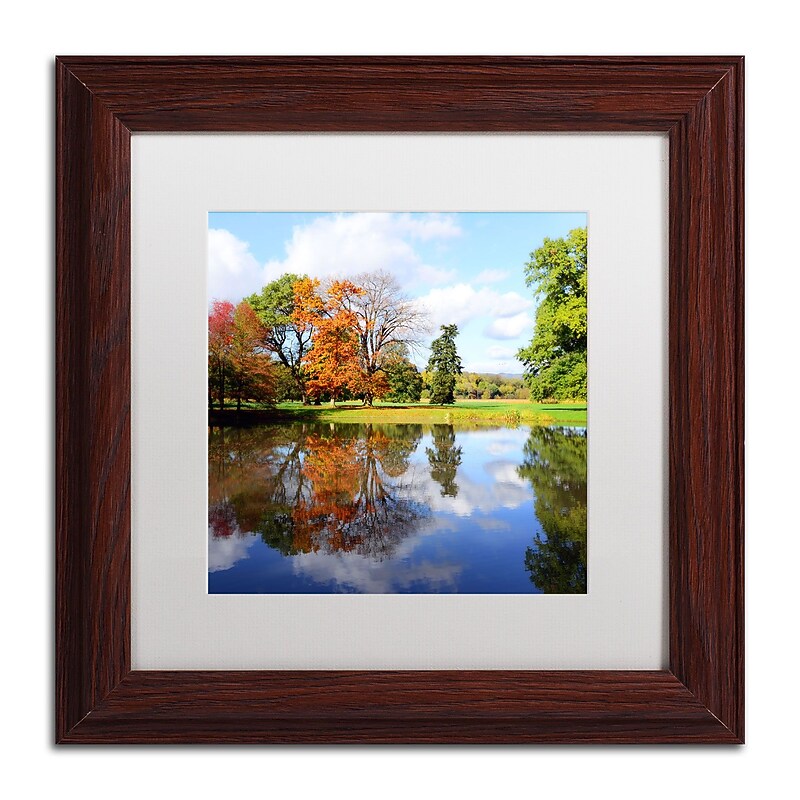 Trademark Philippe Sainte-Laudy "Otherworldly" Art, White Matte With Wood Frame, 11" x 11" image 1