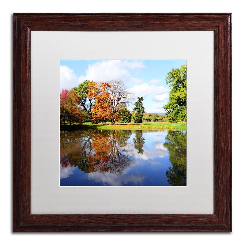 Trademark Philippe Sainte-Laudy "Otherworldly" Art, White Matte With Wood Frame, 16" x 16" image 1