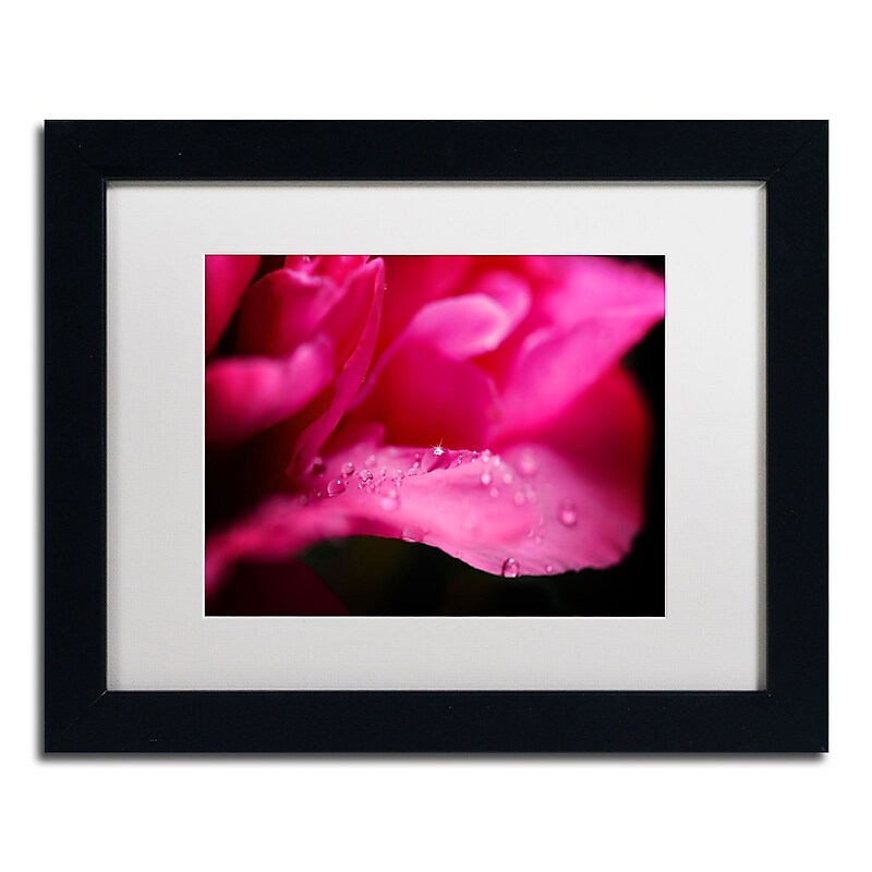Trademark Philippe Sainte-Laudy "Peony Drops" Art, White Matte With Black Frame, 11" x 14" image 1