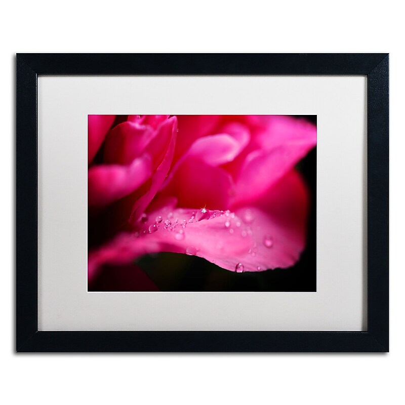 Trademark Philippe Sainte-Laudy "Peony Drops" Art, White Matte With Black Frame, 16" x 20" image 1