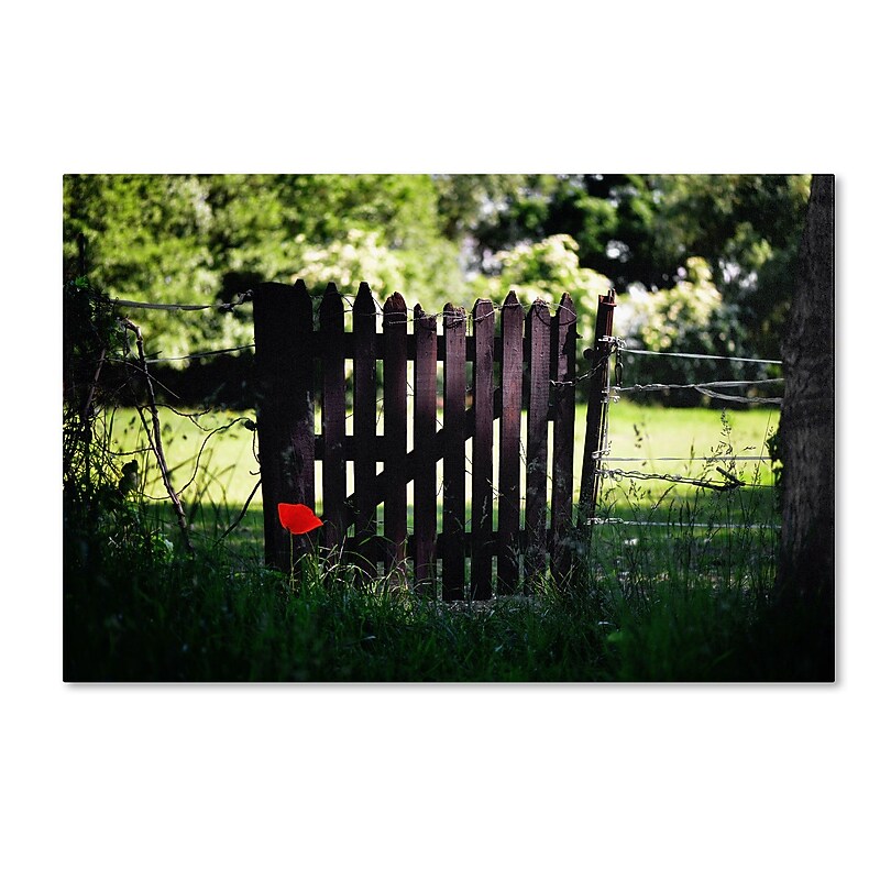 Trademark Philippe Sainte-Laudy "Press the Red Button" Gallery-Wrapped Canvas Art, 16" x 24" image 1