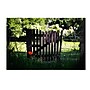 Trademark Philippe Sainte-Laudy "Press the Red Button" Gallery-Wrapped Canvas Art, 30" x 47"~#|#~m001704005_sc7