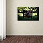 Trademark Philippe Sainte-Laudy "Press the Red Button" Gallery-Wrapped Canvas Art, 30" x 47"~#|#~m001704007_sc7