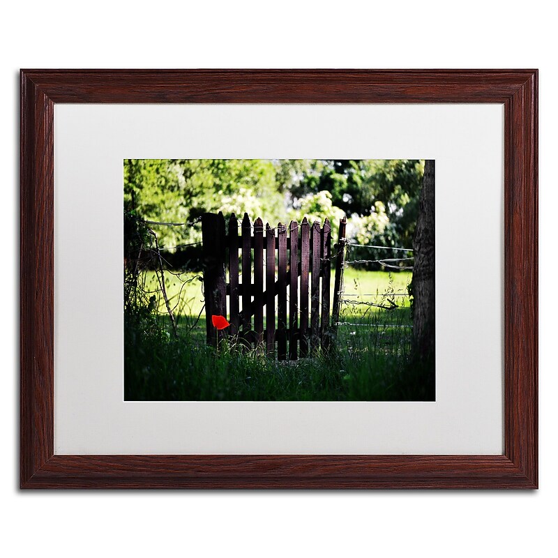 Trademark Philippe Sainte-Laudy "Press the Red Button" Art, White Matte With Wood Frame, 16" x 20" image 1