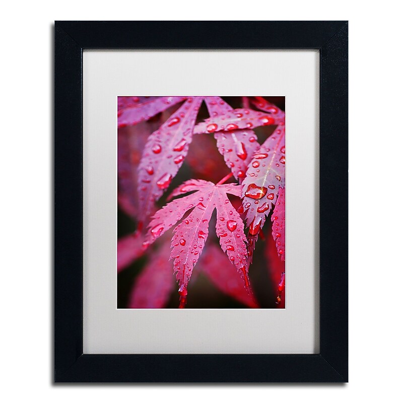Trademark Philippe Sainte-Laudy "Red Maple Leaves" Art, White Matte With Black Frame, 11" x 14" image 1