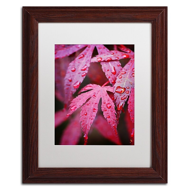 Trademark Philippe Sainte-Laudy "Red Maple Leaves" Art, White Matte With Wood Frame, 11" x 14" image 1